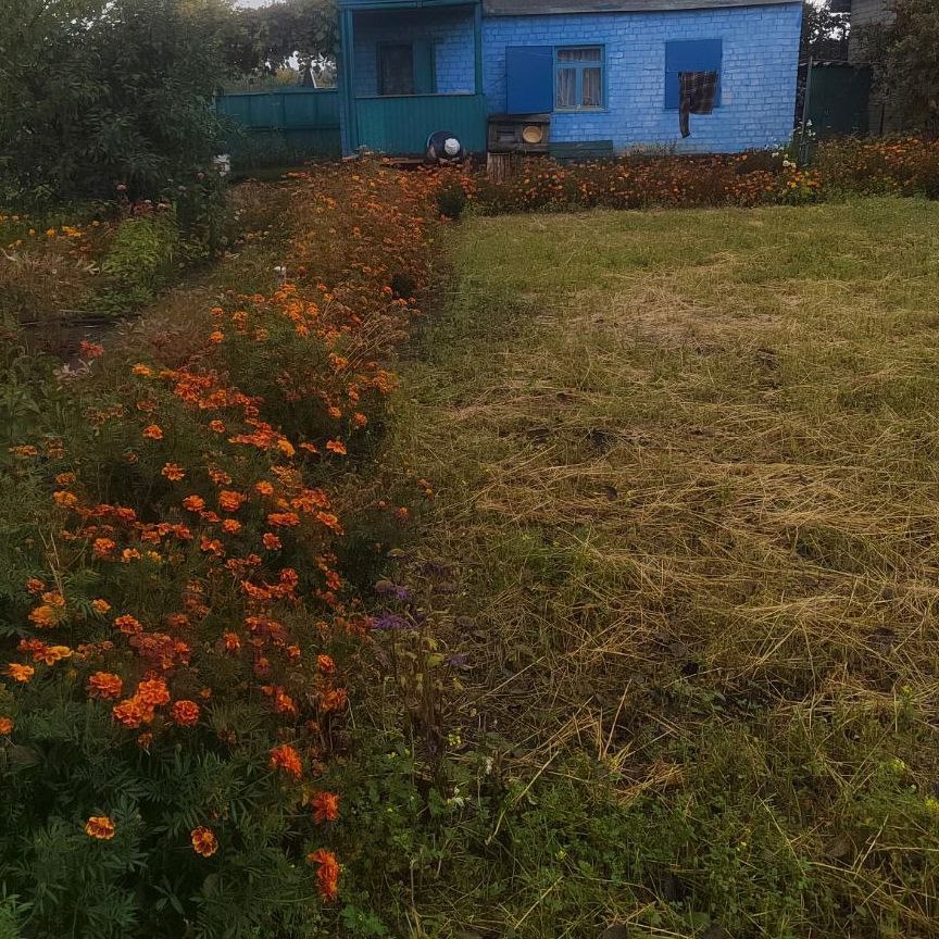 Дом, 58 м², 6 соток