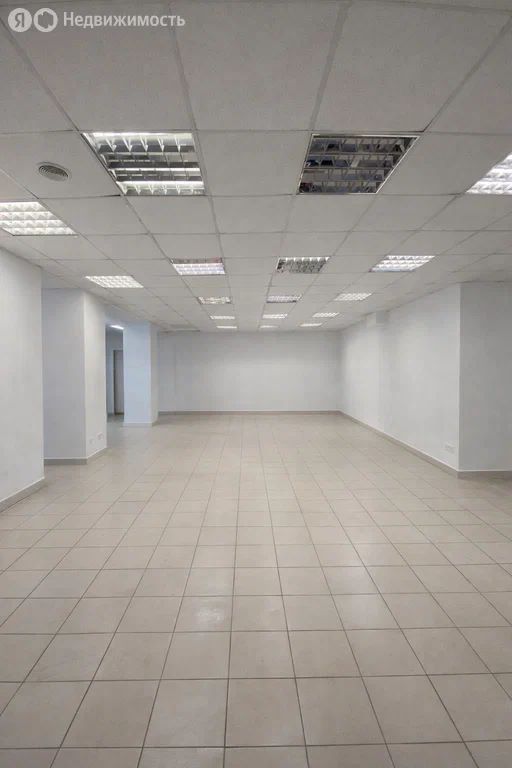 ПСН, 278.5 м², 1/5 этаж