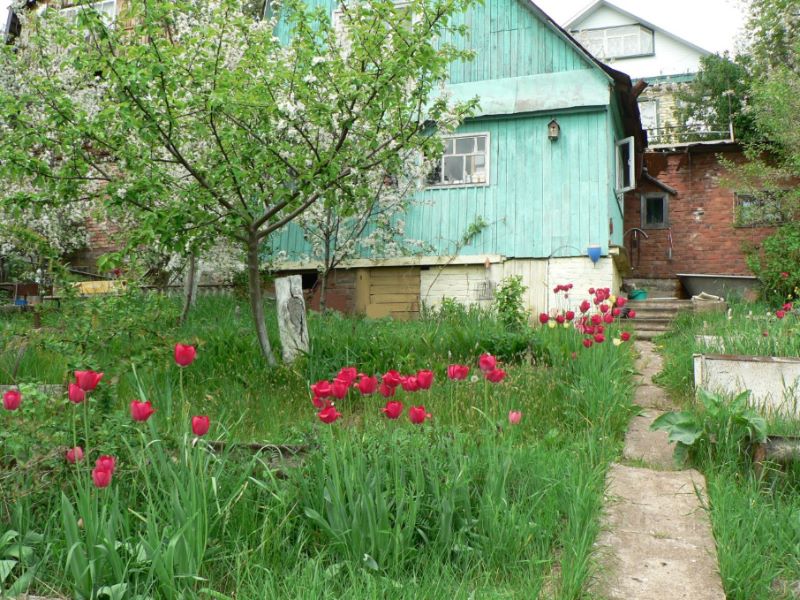 Участок, 5 соток, СНТ