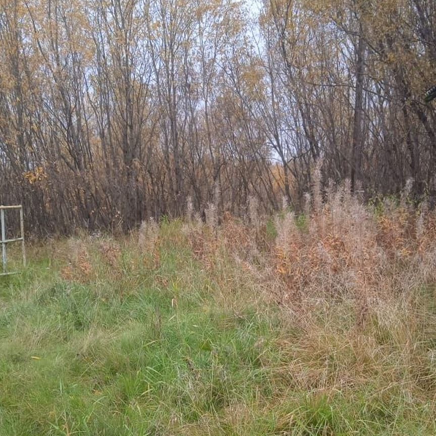 Купить землю, 1 сотка