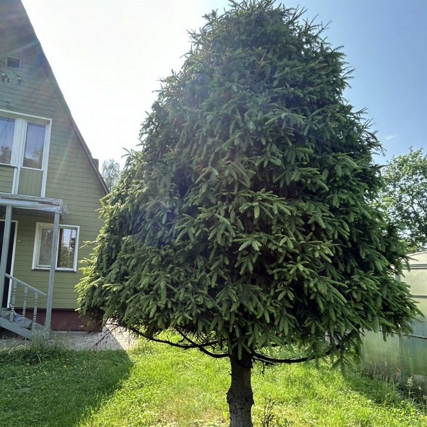 Дом, 53.2 м², 17.5 соток