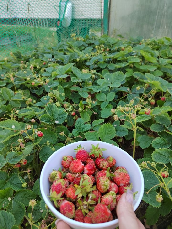 Дом, 122 м², 10 соток