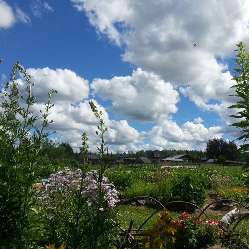 Купить участок земли, 12 соток