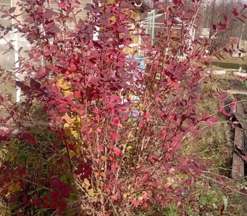 1-этажный дом, 12 м², 20 соток