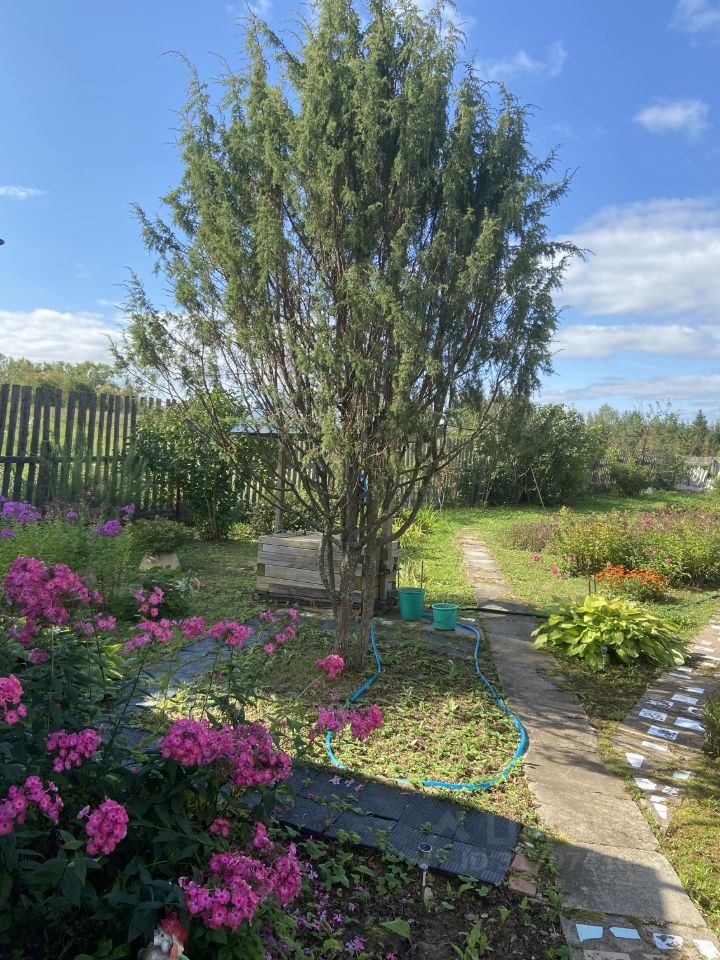 1-этажный дом, 25.7 м², 8 соток