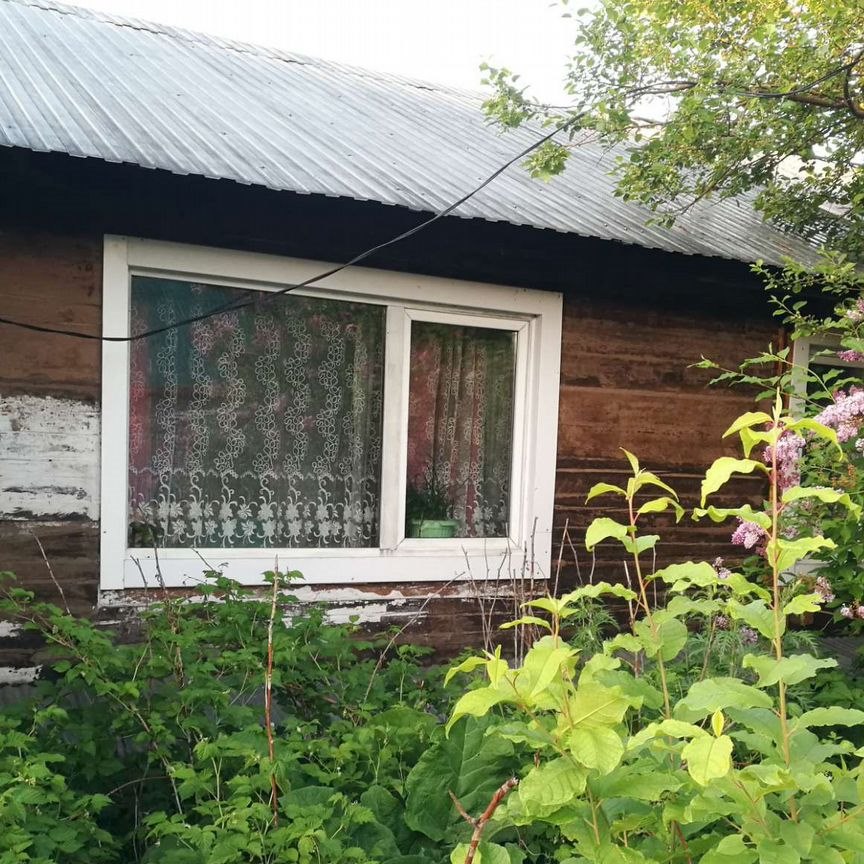 Дом, 50 м², 4 сотки