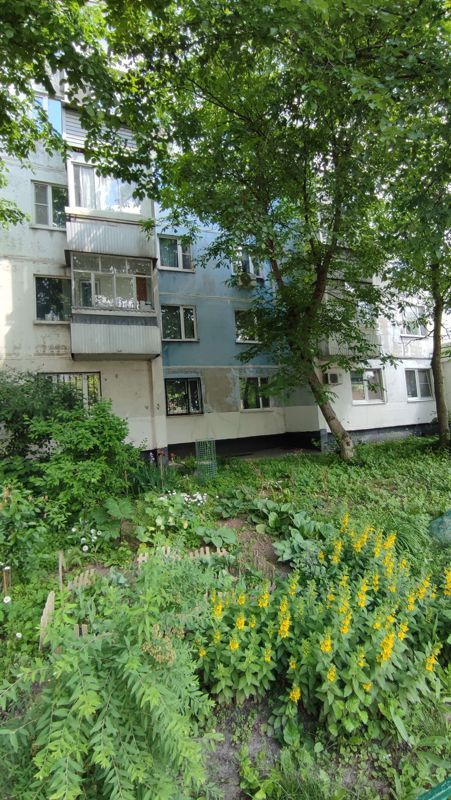2-комн., 54.8 м², 1/16 этаж