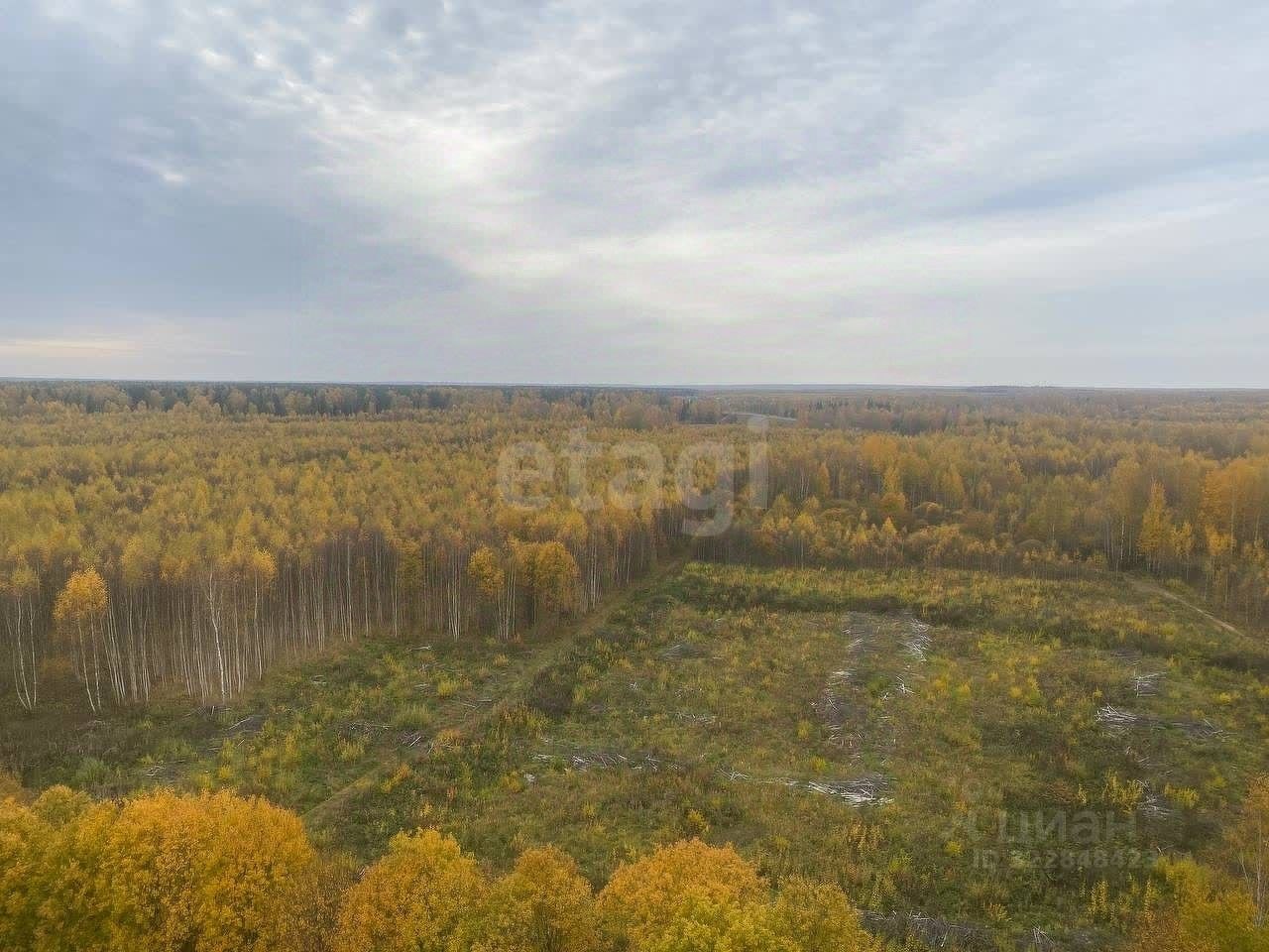 Участок земли, 524 сотки