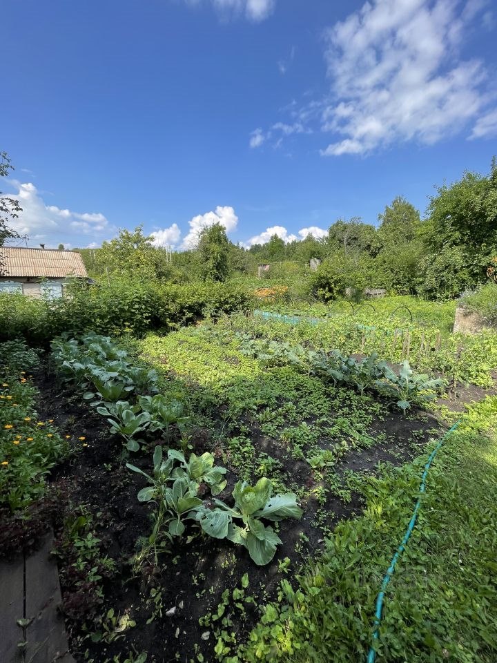 1-этажный дом, 30 м², 8 соток