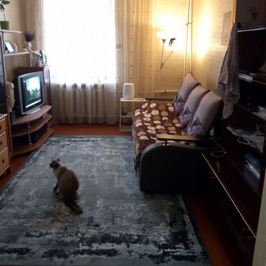 2-комн., 50 м², 2/3 этаж