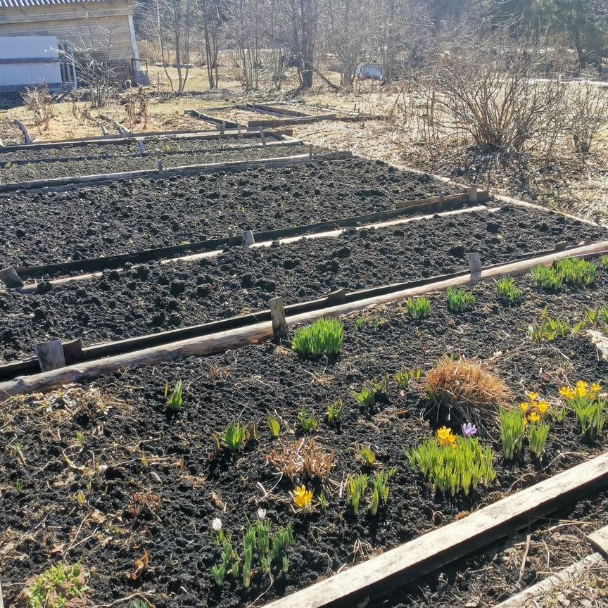 Купить землю, 5.2 соток