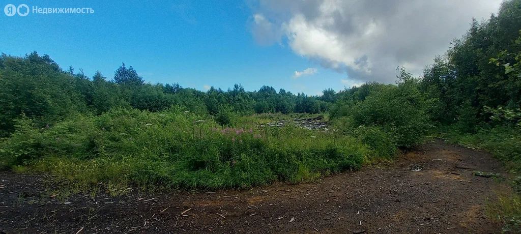 Участок земли, 40 соток
