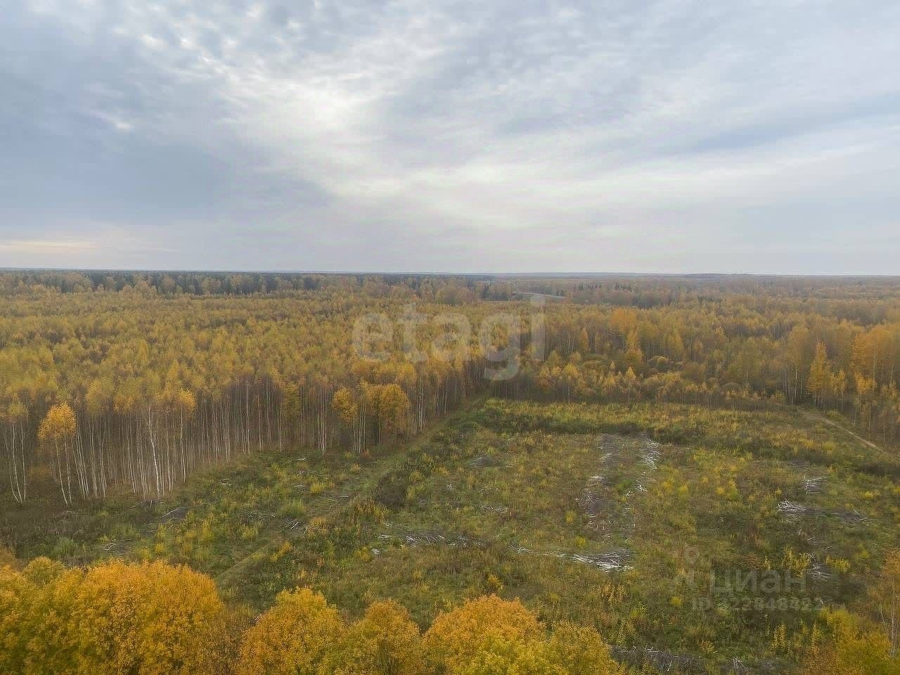 Земельный участок, 232 сотки