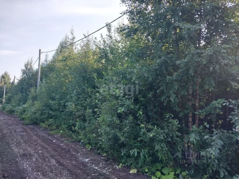 Продаю земельный участок, 10 соток