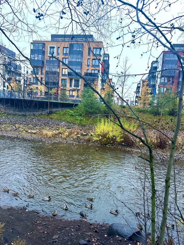 3-комн., 57.3 м², 5/5 этаж