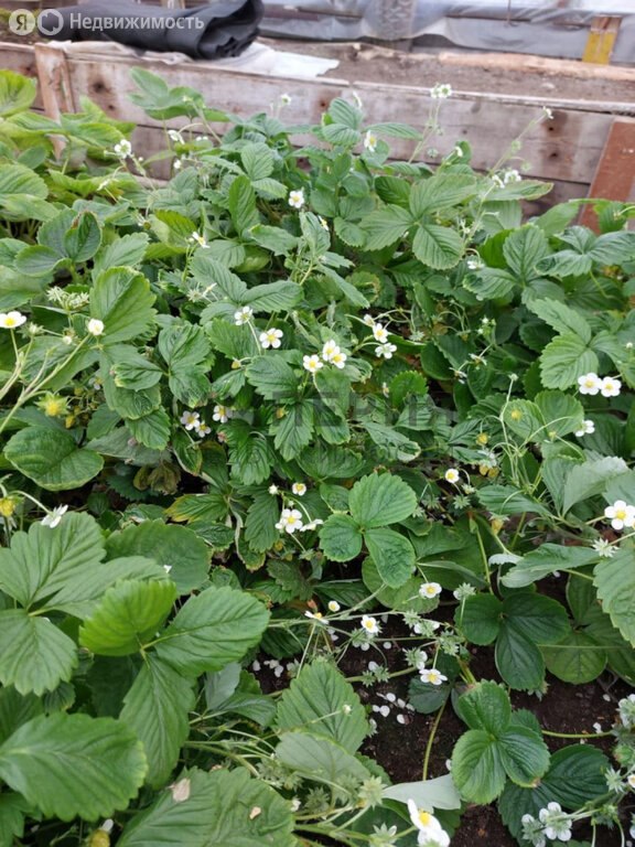 Продается участок, 15 соток