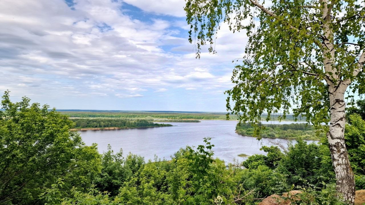 Дом, 45.5 м², 16.36 соток