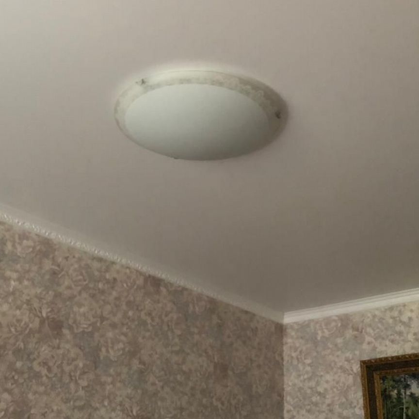 1-комн., 50.3 м², 1/2 этаж