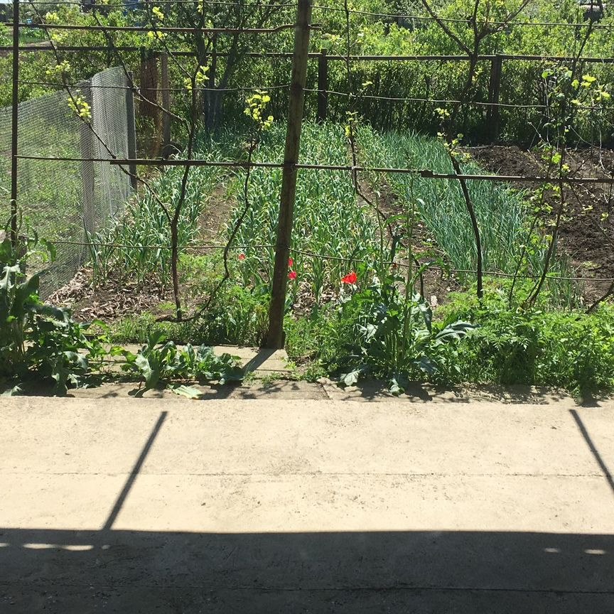 Дом, 64.5 м², 12 соток