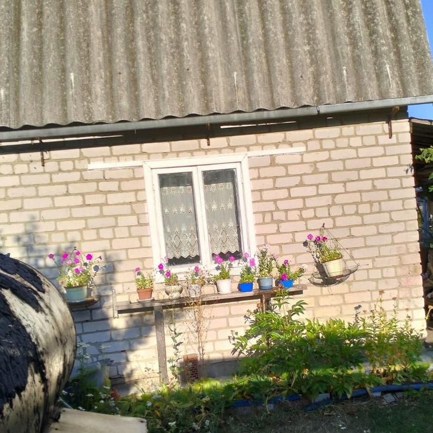 Коттедж, 20 м², 4 сотки