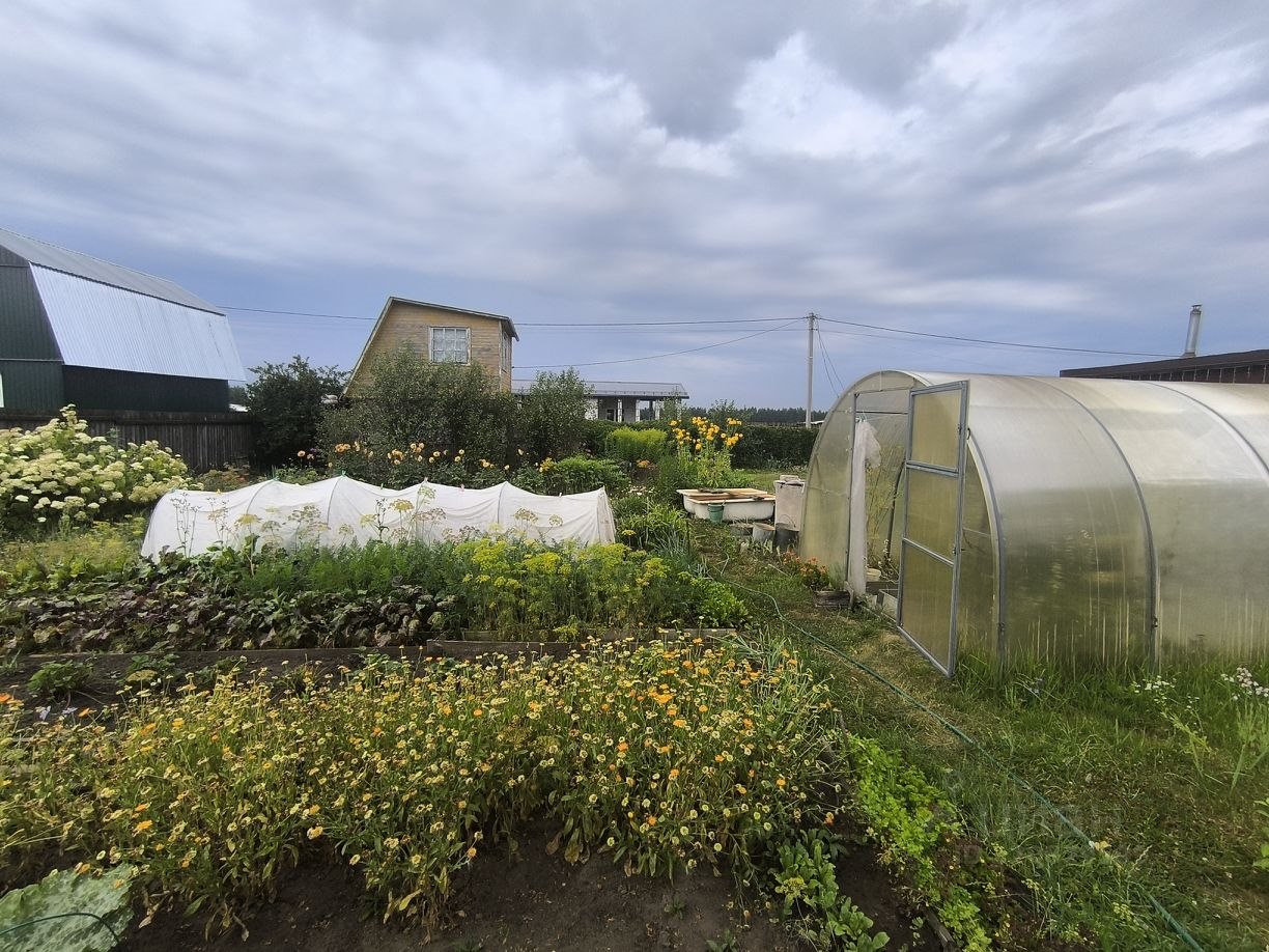 Дом, 40 м², 6 соток