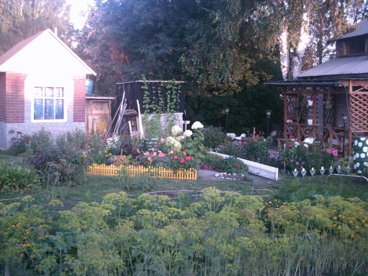 Дом, 35 м², 5.93 соток