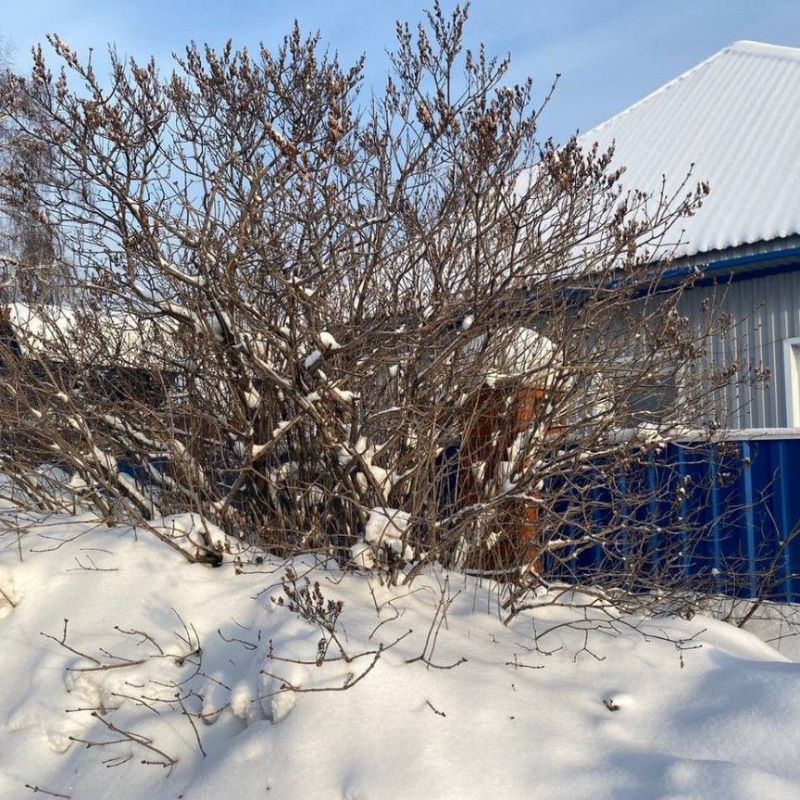 Дом, 94.5 м², 7 соток