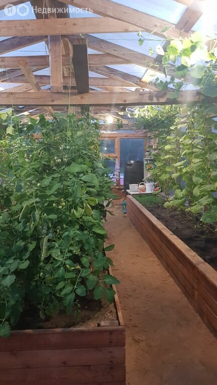 Дом, 22.5 м², 9 соток