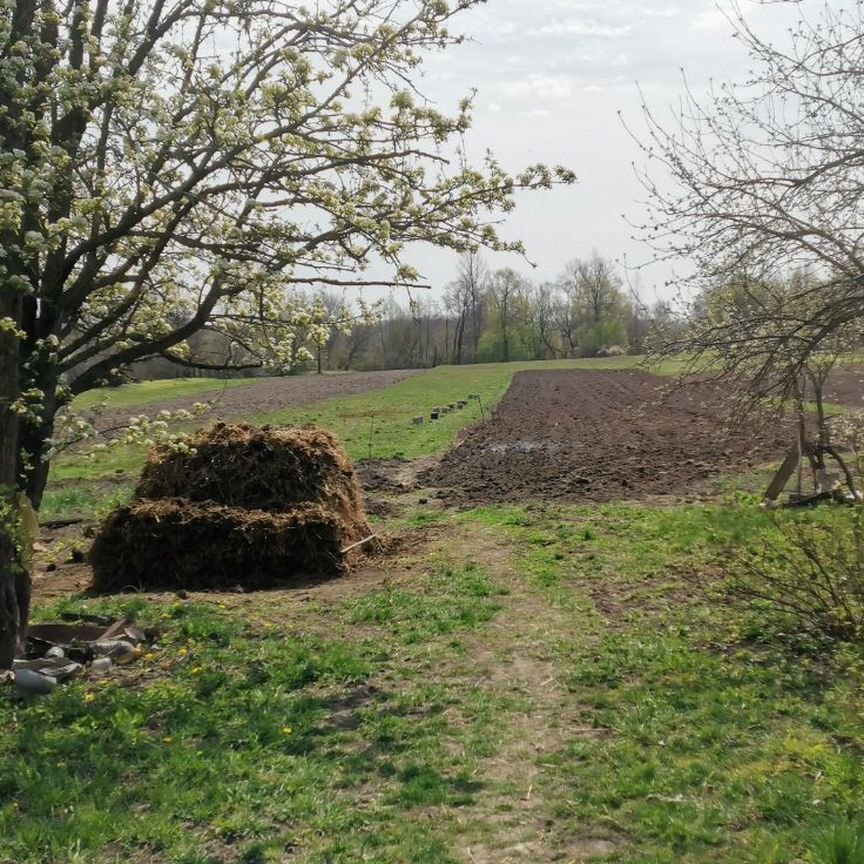 Дом, 33 м², 42 сотки