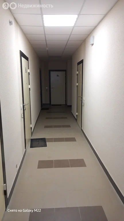 24.15 м², 2/8 этаж
