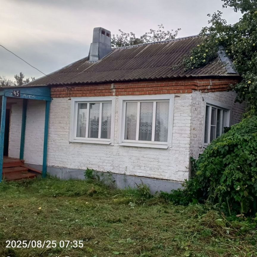 Дом, 49.5 м², 38 соток