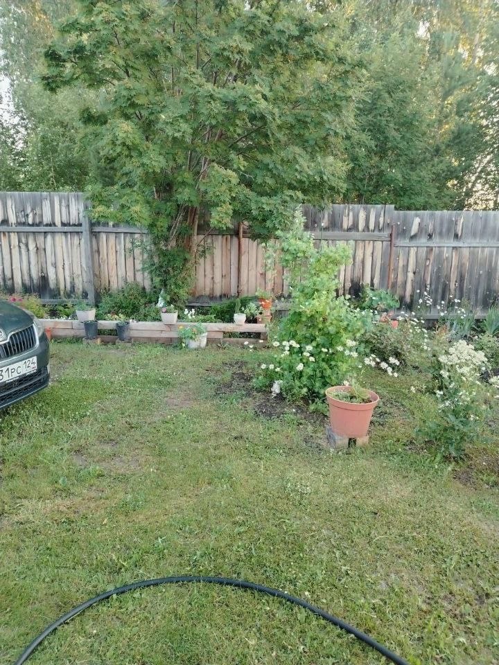 1-этажный дом, 19 м², 10 соток