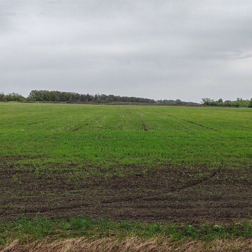 Продаю участок земли, 500 соток