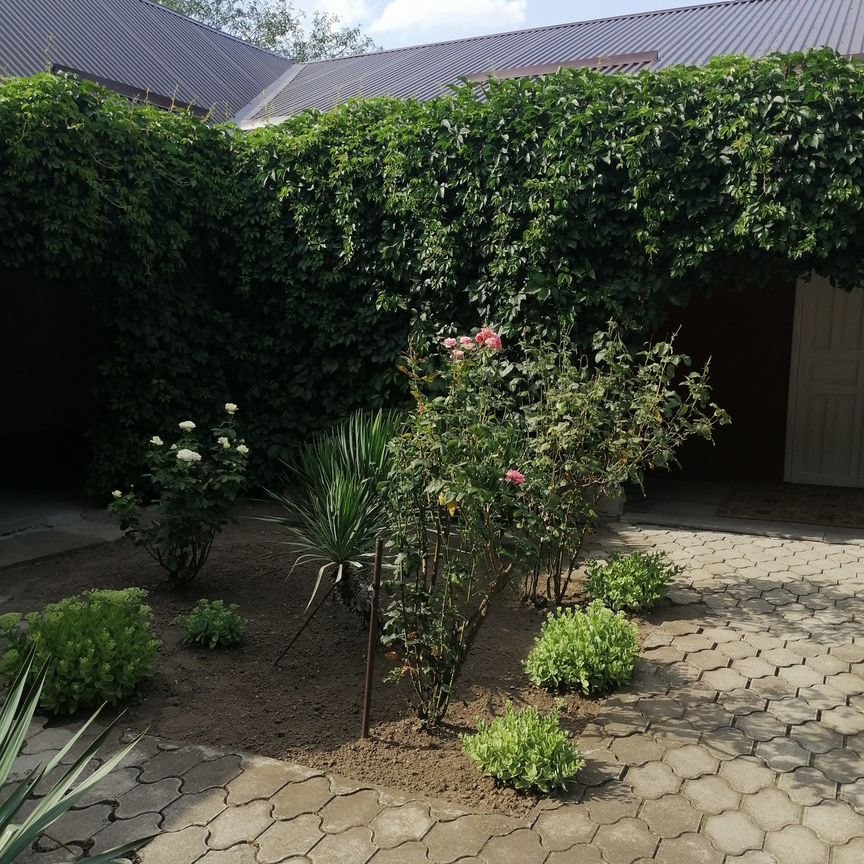  дом, 180 м², 12 соток