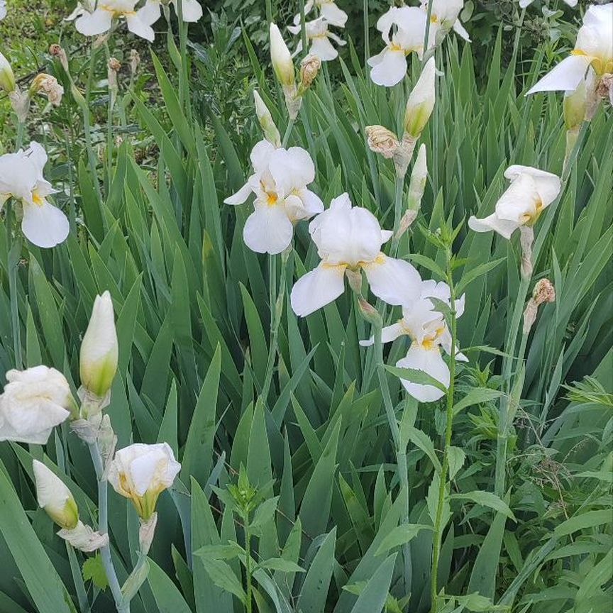 Дом, 30 м², 12 соток