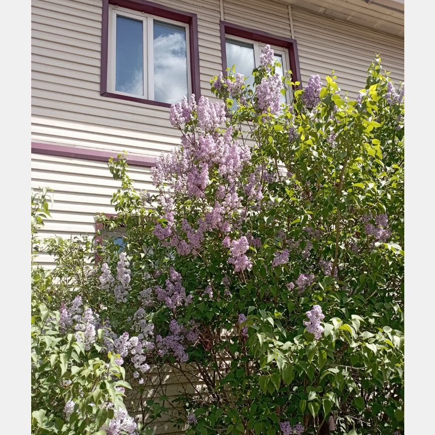 Дом, 280 м², 12 соток