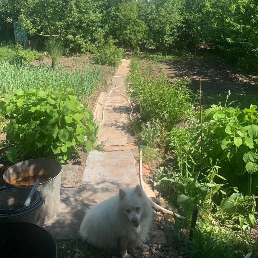 Коттедж, 10 м², 4.2 сотки