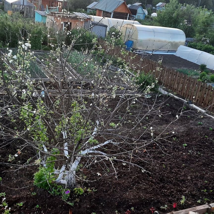 Коттедж, 48 м², 4 сотки