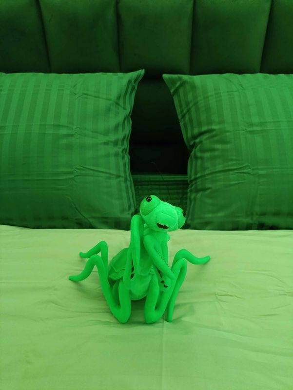 2-комн., 48.8 м², 1/2 этаж