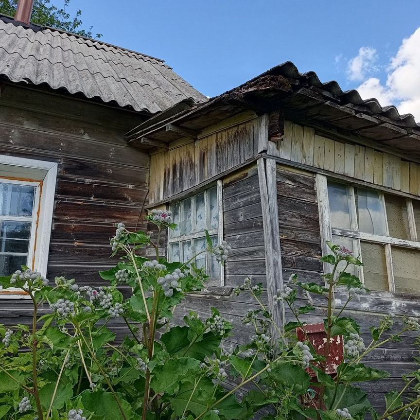 Дом, 60.5 м², 10 соток