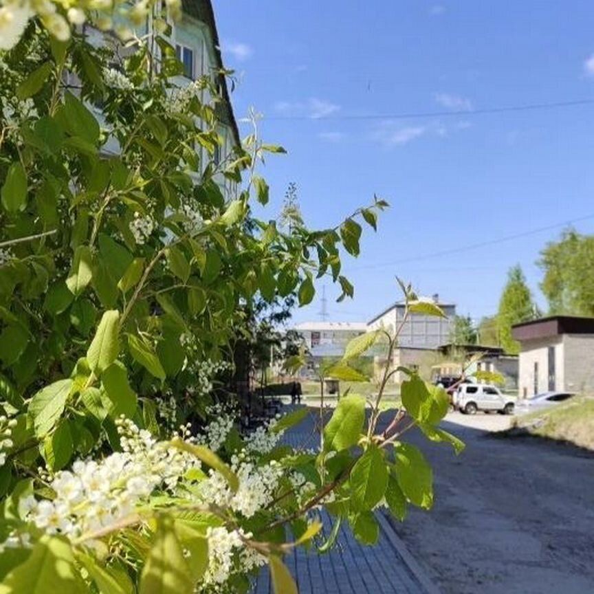 2-комн., 43.6 м², 4/5 этаж