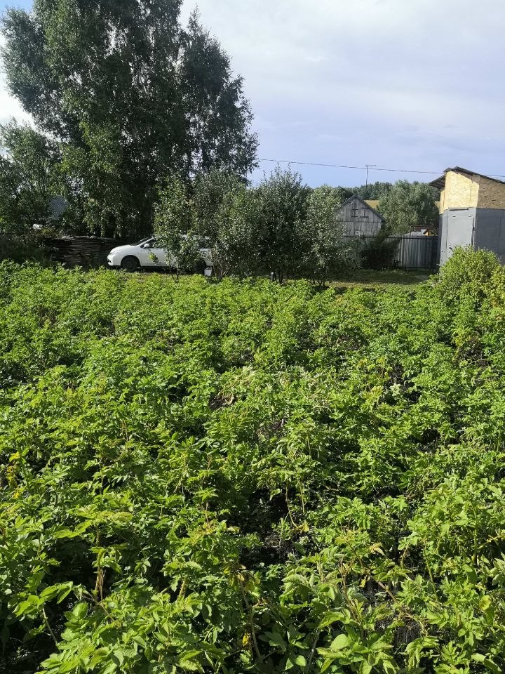 Дом, 20 м², 6 соток