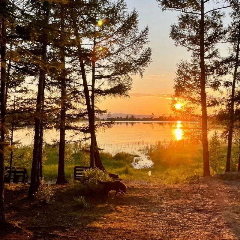 Таунхаус, 100 м2, 33 сотки