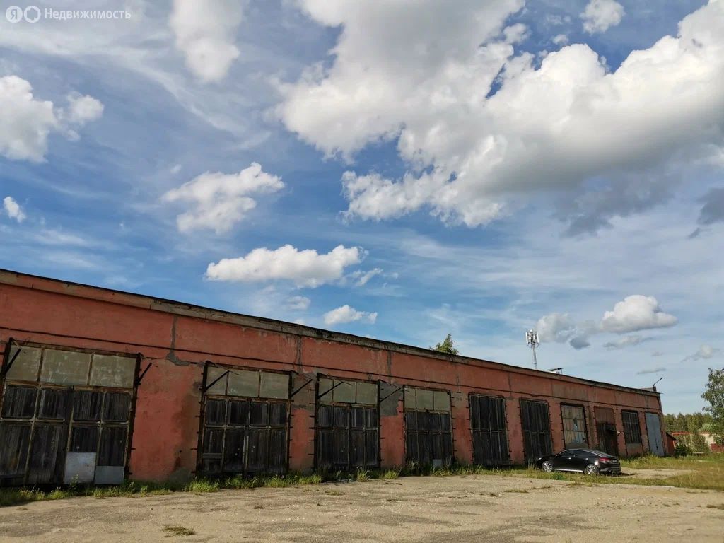 Склад, 1000 м², 1/1 этаж