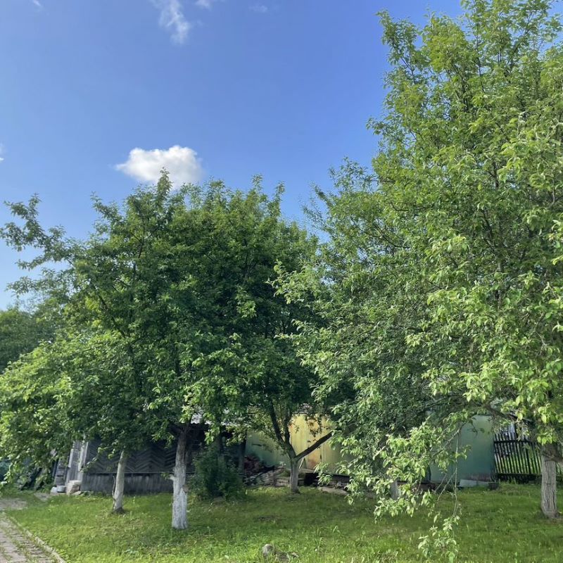 Дом, 141 м², 19.5 соток