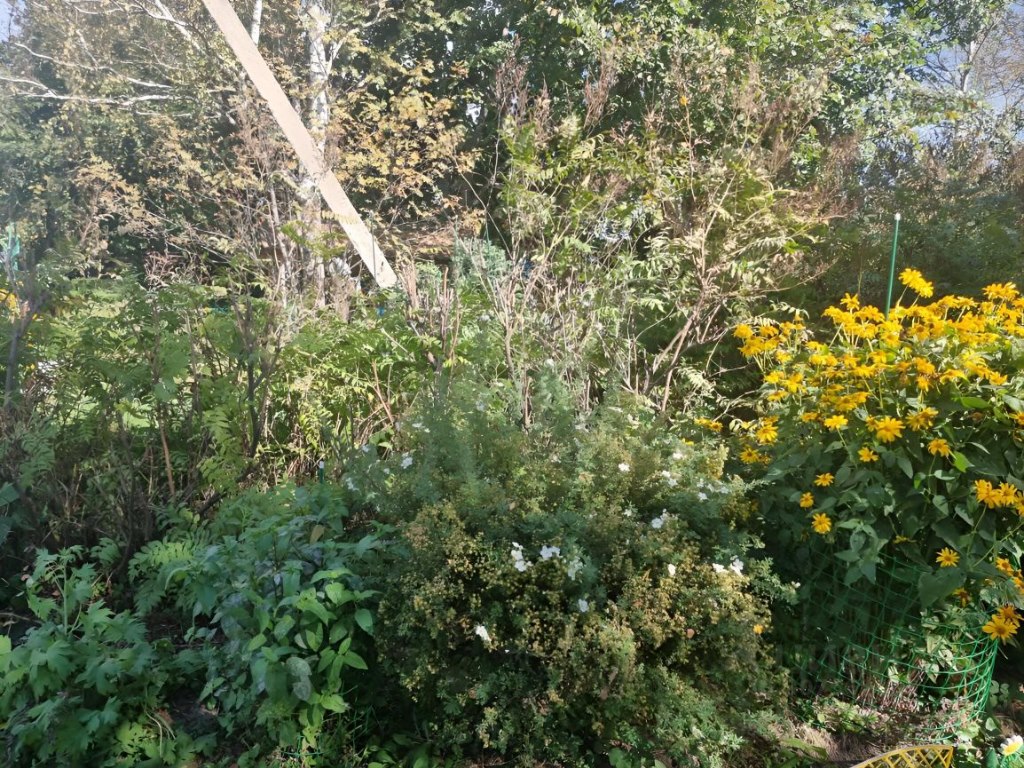 Продам земельный участок, 15 соток