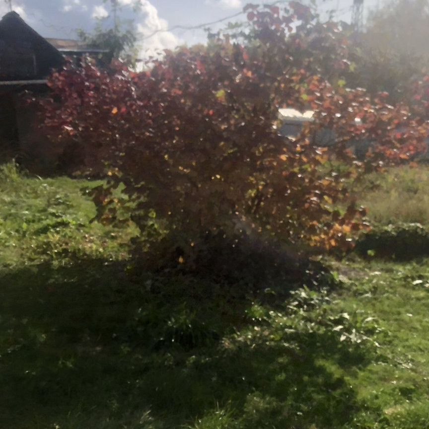 Коттедж, 30 м², 12 соток