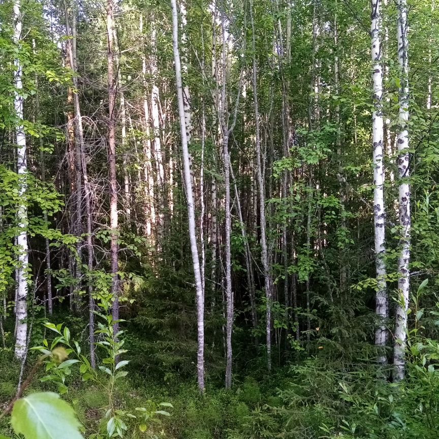 Земельный участок, 10 соток