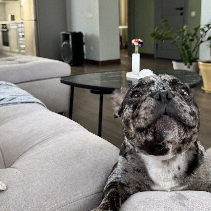 Дом, 260 м², 10 соток