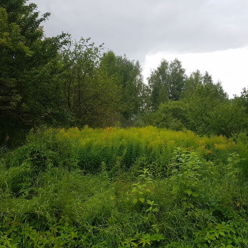 Коттедж, 25 м², 6 соток